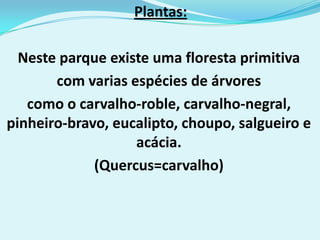Plantas:

  Neste parque existe uma floresta primitiva
       com varias espécies de árvores
   como o carvalho-roble, carvalho-negral,
pinheiro-bravo, eucalipto, choupo, salgueiro e
                   acácia.
             (Quercus=carvalho)
 