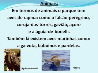 Animais:
  Em termos de animais o parque tem
aves de rapina: como o falcão-peregrino,
    coruja-das-torres, gavião, açore
           e a águia-de-bonelli.
Também lá existem aves marinhas como:
     a gaivota, babuínos e pardelas.



      Águia-de-Bonelli         Pardela
 