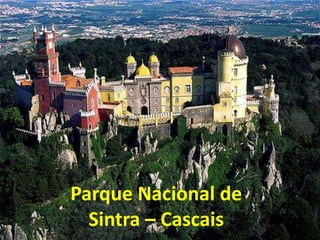 Parque Nacional de
  Sintra – Cascais
 
