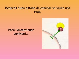 Després d’una estona de caminar va veure una
rosa.
Però, va continuar
caminant...
 