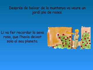 Després de baixar de la muntanya va veure un
jardí ple de roses.
Li va fer recordar la seva
rosa, que l’havia deixat
sola al seu planeta.
 