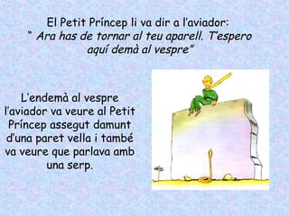 El Petit Príncep li va dir a l’aviador:
“ Ara has de tornar al teu aparell. T’espero
aquí demà al vespre”
L’endemà al vespre
l’aviador va veure al Petit
Príncep assegut damunt
d’una paret vella i també
va veure que parlava amb
una serp.
 