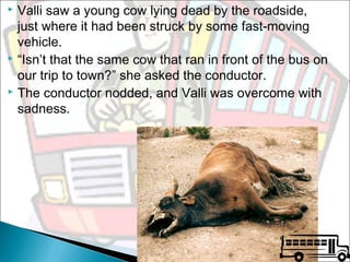 Valli saw a young cow lying dead by the roadside,
just where it had been struck by some fast-moving
vehicle.
 “Isn’t that the same cow that ran in front of the bus on
our trip to town?” she asked the conductor.
 The conductor nodded, and Valli was overcome with
sadness.


 