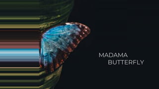 MADAMA
BUTTERFLY
 