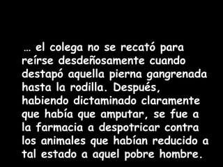 … el colega no se recató para 
reírse desdeñosamente cuando 
destapó aquella pierna gangrenada 
hasta la rodilla. Después, 
habiendo dictaminado claramente 
que había que amputar, se fue a 
la farmacia a despotricar contra 
los animales que habían reducido a 
tal estado a aquel pobre hombre. 
 