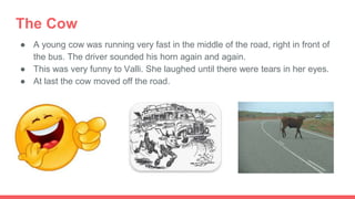 The Cow
● A young cow was running very fast in the middle of the road, right in front of
the bus. The driver sounded his horn again and again.
● This was very funny to Valli. She laughed until there were tears in her eyes.
● At last the cow moved off the road.
 
