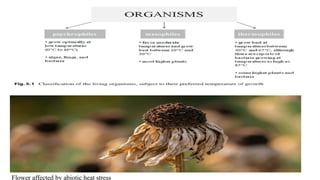 temperature stress in plants Abiotic stresses | PPTX