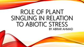 ROLE OF PLANT
SINGLING IN RELATION
TO ABIOTIC STRESS
BY ABRAR AHMAD
 