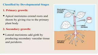madan growth and development horticulture 2.pptx