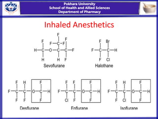 Inhaled Anesthetics
 