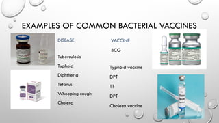 Comprehensive Overview of Bacterial Vaccines: Types, Uses, and Public ...