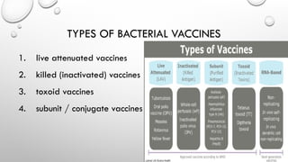 Comprehensive Overview of Bacterial Vaccines: Types, Uses, and Public ...