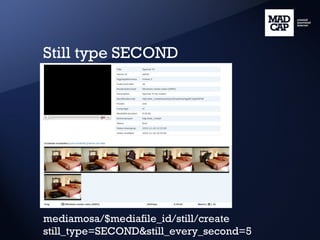 Still type SECOND mediamosa/$mediafile_id/still/create still_type=SECOND&still_every_second=5 