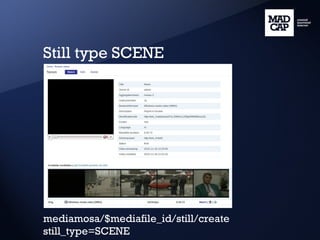 Still type SCENE mediamosa/$mediafile_id/still/create still_type=SCENE 
