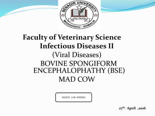 Faculty of Veterinary Science
Infectious Diseases II
(Viral Diseases)
BOVINE SPONGIFORM
ENCEPHALOPHATHY (BSE)
MAD COW
27th, April ,2016
SHAFI’I. A.M. SHEIKH
 
