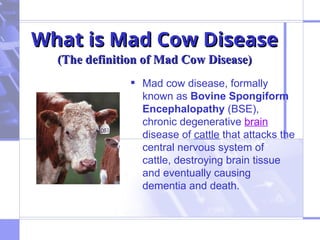 Mad cow disease of human beings important.ppt