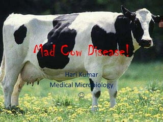 Mad Cow Disease!
      Hari Kumar
  Medical Microbiology
           
 