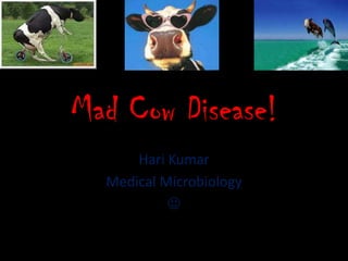 Mad Cow Disease!
      Hari Kumar
  Medical Microbiology
           
 