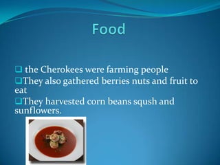  Cherokee men were in charge of hunting war and diplomacy 