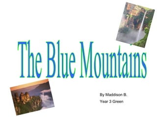 The Blue Mountains By Maddison B. Year 3 Green 