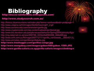 Bibliography  http://mccw-rainforests.wikispaces.com/ http:// www.studysearch.com.au / http://flickrcc.bluemountains.net/index.php?terms=rainforest&edit=yes&page=1/ http://www.uregina.ca/hri/images/GorillaYawning01_2.gif http:// www.sonoma.edu/users/e/enstam/gorilla.jpg http://www.cryptomundo.com/wp-content/uploads/gorillareal.jpg http://www.bio.davidson.edu/people/vecase/behavior/Spring2004/petrosky/6gorilla.jpg http://img.dailymail.co.uk/i/pix/2007/06_02/GorillaDM2006_468x689.jpg http://www.smh.com.au/ffximage/2007/12/11/1gorilla_narrowweb__300x421,0.jpg http://www.primates.com/gorillas/gorillababy.jpg http://www.treehugger.com/gorillas-congo.jpg http://www.mongabay.com/images/gabon/600/gabon_1589.JPG http://www.gorilla-safaris.co.ug/gorilla-safaris-images/climbing-mountain-gorilla.jpg 
