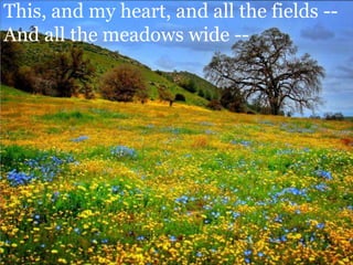 This, and my heart, and all the fields -- And all the meadows wide --