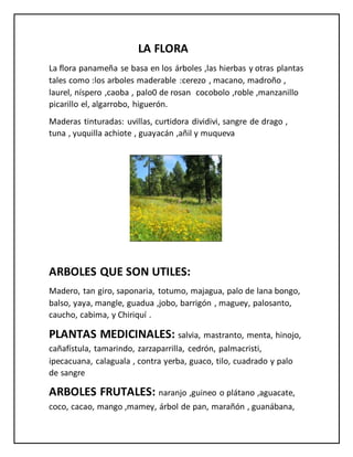 LA FLORA
La flora panameña se basa en los árboles ,las hierbas y otras plantas
tales como :los arboles maderable :cerezo , macano, madroño ,
laurel, níspero ,caoba , palo0 de rosan cocobolo ,roble ,manzanillo
picarillo el, algarrobo, higuerón.
Maderas tinturadas: uvillas, curtidora dividivi, sangre de drago ,
tuna , yuquilla achiote , guayacán ,añil y muqueva
ARBOLES QUE SON UTILES:
Madero, tan giro, saponaria, totumo, majagua, palo de lana bongo,
balso, yaya, mangle, guadua ,jobo, barrigón , maguey, palosanto,
caucho, cabima, y Chiriquí .
PLANTAS MEDICINALES: salvia, mastranto, menta, hinojo,
cañafístula, tamarindo, zarzaparrilla, cedrón, palmacristi,
ipecacuana, calaguala , contra yerba, guaco, tilo, cuadrado y palo
de sangre
ARBOLES FRUTALES: naranjo ,guineo o plátano ,aguacate,
coco, cacao, mango ,mamey, árbol de pan, marañón , guanábana,
 