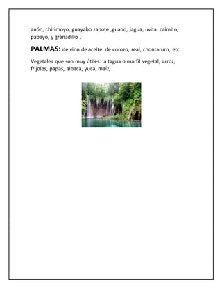 anón, chirimoyo, guayabo zapote ,guabo, jagua, uvita, caimito,
papayo, y granadillo ,
PALMAS: de vino de aceite de corozo, real, chontaruro, etc.
Vegetales que son muy útiles: la tagua o marfil vegetal, arroz,
frijoles, papas, albaca, yuca, maíz,
 