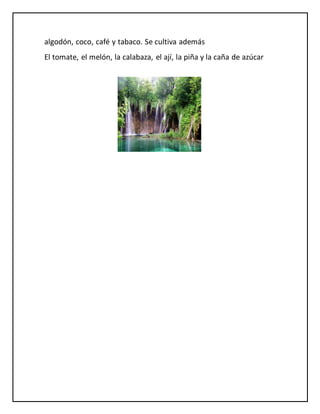 algodón, coco, café y tabaco. Se cultiva además
El tomate, el melón, la calabaza, el ají, la piña y la caña de azúcar
 