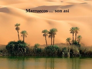 Marruecos … son así 