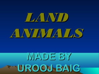 LAND
ANIMALS
MADE BY
UROOJ BAIG

 
