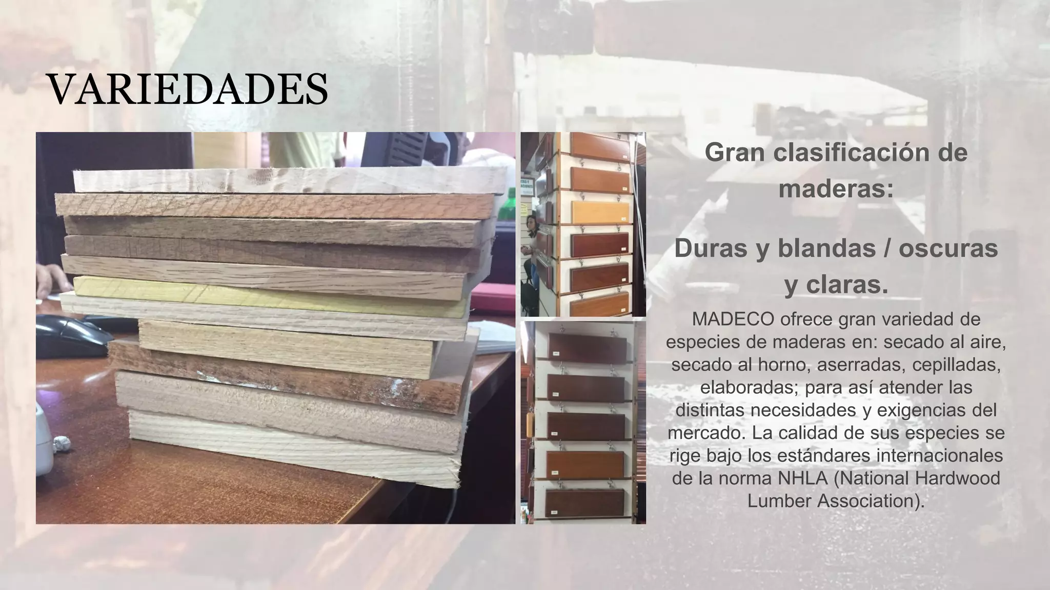 VARIEDADES
Gran clasificación de
maderas:
Duras y blandas / oscuras
y claras.
MADECO ofrece gran variedad de
especies de maderas en: secado al aire,
secado al horno, aserradas, cepilladas,
elaboradas; para así atender las
distintas necesidades y exigencias del
mercado. La calidad de sus especies se
rige bajo los estándares internacionales
de la norma NHLA (National Hardwood
Lumber Association).
 