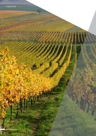 Made in Agroqualità
IL PUNTO DI VISTA
 