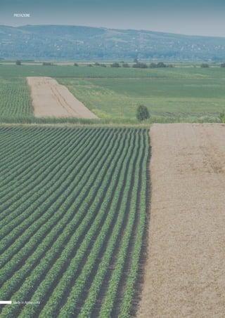 Made in Agroqualità
PREFAZIONE
 