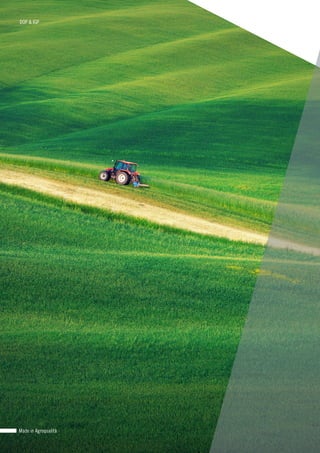 Made in Agroqualità
DOP & IGP
 