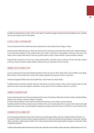 051
Il prodotto non presenta danni da insetti, muffe, o da altri agenti. È consentito l’impiego di eventuali farciture del prodotto (con noci, mandorle,
nocciole, bucce di agrumi, semini di finocchietto).
LA BELLA DELLA DAUNIA DOP
La zona di produzione dell’oliva La Bella della Daunia comprende alcuni comuni della provincia di Foggia, in Puglia.
La denominazione La Bella della Daunia si riferisce alle olive da mensa di colore verde o nero ottenute dalla varietà di olivo “La Bella di Cerignola”.
Le olive hanno forma allungata con base ristretta ed apice acuto e sottile; il colore esterno è verde paglierino uniforme per il tipo verde, e nero
intenso in tutto lo spessore della polpa per il tipo nero; la pellicola esterna è sottile; il sapore è delicato, la polpa consistente e compatta.
Il peso del frutto è compreso tra 6 e 30 g, la resa in polpa superiore all’80%; il contenuto in grassi è inferiore al 15% per il tipo verde, e inferiore
al 18% per il tipo nero. Il tenore di zuccheri riduttori è inferiore al 2,8% per il tipo verde e 2,4% per il tipo nero.
LIMONE COSTA D’AMALFI IGP
La zona di produzione del Limone Costa d’Amalfi comprende il territorio dei comuni di Atrani, Amalfi, Cetara, Conca dei Marini, Furore, Maiori,
Minori, Positano, Praiano, Ravello Scala, Tramonti, Vietri sul Mare, appartenenti alla provincia di Salerno, in Campania.
L’Indicazione Geografica Protetta Limone Costa d’Amalfi indica i limoni riferibili alla cultivar Sfusato.
Il prodotto presenta forma ellittico-allungata, dimensioni medio-grosse e con peso non inferiore a 100 gr., buccia di spessore medio e di colore
giallo citrino, polpa di colore giallo paglierino, abbondante, con resa superiore al 25% ed acidità non inferiore a 3,5 g/100 ml.
LIMONE DI SORRENTO IGP
La zona di produzione del Limone di Sorrento comprende parte dei comuni di Vico Equense, Meta, Piano di Sorrento, Sorrento, Sant’Agnello, Massa
Lubrense, Capri e Anacapri in provincia di Napoli, in Campania.
Il Limone di Sorrento identifica i limoni riferibili alle varietà Ovale di Sorrento e Limone di Massa Lubrense o Massese.
Il prodotto presenta forma ellittica simmetrica, peso non inferiore a 85 g, buccia di colore giallo citrino e di spessore medio, polpa di colore giallo
paglierino con tessitura media, succo giallo paglierino abbondante con elevata acidità (non inferiore a 3,5 g/100 ml) e resa non inferiore al 30%.
LIQUIRIZIA DI CALABRIA DOP
La zona di produzione comprende numerosi comuni di tutte le province della regione Calabria, posti ad una altitudine inferiore a 650 metri s.l.m.
La Liquirizia di Calabria al consumo presenta le seguenti caratteristiche: la radice fresca presenta colore giallo paglierino, sapore dolce, aromatico,
intenso e persistente, umidità compresa tra 48% e 52%; la radice essiccata presenta colore dal giallo paglierino al giallo ocra, sapore dolce, fruttato
e leggermente astringente.
L’estrattodiradicepresentacoloredalmarroneterrabruciataalnero,saporedolce-amaro,aromatico,intensoepersistente,umiditàcompresatra9%e15%.
 