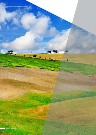Made in Agroqualità
IL SISTEMA AGROALIMENTARE ITALIANO
 