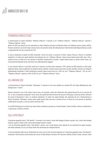 ABRUZZO do E IG
TREBBIANO D’ABRUZZO DOC
La denominazione di origine controllata “Trebbiano d’Abruzzo” è riservata ai vini “Trebbiano d’Abruzzo”, “Trebbiano d’Abruzzo” superiore e
“Trebbiano d’Abruzzo” riserva.
Questi vini DOC sono ottenuti da vini provenienti da vitigni Trebbiano abruzzese e/o Bombino bianco e/o Trebbiano toscano almeno all’85%.
Possono concorrere le uve di altri vitigni a bacca bianca non aromatici idonei alla coltivazione per l’intero territorio della Regione Abruzzo, da sole
o congiuntamente, fino ad un massimo del 15%.
La zona di produzione di questo vino DOC comprende i terreni dei comuni in provincia di Chieti, L’Aquila, Pescara e Teramo. Le condizioni
ambientali e di coltura dei vigneti destinati alla produzione dei vini “Trebbiano d’Abruzzo” devono essere quelle normali della zona e atte a
conferire all’uva, al mosto ed al vino derivato le specifiche caratteristiche di qualità. I vigneti devono trovarsi su terreni ritenuti idonei, con
l’esclusione dei fondovalle umidi e dei terreni non sufficientemente soleggiati.
La resa massima dell’uva in vino finito, pronto per il consumo, non deve essere superiore al 70%. Questo vino DOC presenta un colore giallo
pagliarino intenso, odore caratteristico con profumo intenso e delicato, il sapore invece risulta essere asciutto, vellutato, armonico con retrogusto
gradevolmente mandorlato. Il titolo alcolometrico volumico totale minimo varia da 11,50% vol. per il “Trebbiano d’Abruzzo”, 12% vol. per il
“Trebbiano d’Abruzzo” superiore e infine 12,50% vol. per il “Trebbiano d’Abruzzo” riserva.
VILLAMAGNA DOC
La Denominazione di Origine Controllata “Villamagna” é riservata al vino rosso prodotto con almento 95% del vitigno Montepulcano nelle
tipologie base e “riserva”.
Possono concorrere le uve di altri vitigni a bacca rossa, non aromatici, idonei alla coltivazione nella regione Abruzzo fino ad un massimo del
5%. La zona di produzione comprende i terreni vocati alla qualità dell’intero territorio del comune di Villamagna e parte dei territori confinanti
dei comuni di Bucchianico e Vacri. Le condizioni ambientali e di coltura dei vigneti destinati alla produzione dei vini a Denominazione di
Origine Controllata “Villamagna” devono essere quelle normali della zona atte a conferire all’uva, al mosto ed al vino derivato le specifiche
caratteristiche di qualità. La resa di uva/vino risulta del 70%.
Il vino DOC Villamagna ha un colore rosso rubino intenso, tendente al granato con l’invecchiamento, l’odore è fruttato, intenso e caratteristico e
il sapore pieno, asciutto e armonico.
COLLI APRUTINI IGT
L’indicazione geografica tipica “Colli Aprutini” è riservata ai vini bianchi, anche nelle tipologie frizzante e passito, rossi, anche nelle tipologie
frizzante, passito e novello, rosati, anche nelle tipologie frizzante e novello.
I vini ad indicazione geografica tipica “Colli Aprutini” bianchi, rossi e rosati devono essere ottenuti da uve provenienti da vigneti composti,
nell’ambito aziendale, da uno o più vitigni idonei alla coltivazione per la Regione Abruzzo.
La zona di produzione delle uve per l’ottenimento dei mosti e dei vini atti ad essere designati con l’indicazione geografica tipica “Colli Aprutini”
comprende l’intero territorio amministrativo dei comuni di Alba Adriatica, Ancarano, Atri, Basciano, Bellante, Bisenti, Campli, Carzano, Castel
 