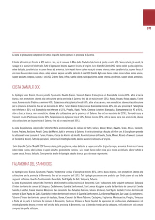077
La zona di produzione comprende in tutto o in parte diversi comuni in provincia di Salerno.
Il limite altimetrico è fissato a 450 metri s.l.m.; per il comune di Moio della Civitella tale limite è posto a metri 550. Sono esclusi gli arenili, le
spiagge e le pianure di fondovalle. Tutte le operazioni devono avvenire in zona d’origine. I vini bianchi Cilento DOC hanno colore giallo paglierino,
odore delicato, caratteristico e sapore fresco ed armonico, i vini rosati hanno colore rosa più o meno intenso, odore caratteristico, sapore fresco. I
vini rossi hanno colore rosso rubino, odore vinoso, sapore asciutto, delicato. I vini DOC Cilento Aglianico hanno colore rosso rubino, odore vinoso,
sapore asciutto, corposo, sapido. I vini DOC Cilento fiano, infine, hanno colore giallo paglierino, odore intenso, gradevole, sapore secco, armonico.
COSTA D’AMALFI DOC
Le tipologie sono: Bianco, Bianco passito, Spumante, Ravello bianco, Tramonti bianco (Falanghina e/o Biancolella minimo 40%, altre a bacca
bianca, non aromatiche, idonee alla coltivazione per la provincia di Salerno, fino ad un massimo del 60%), Rosso, Rosato, Rosso passito, Furore
rosso, Furore rosato (Piedirosso minimo 40%, Sciascinoso e/o Aglianico fino al 60%, altre a bacca nera, non aromatiche, idonee alla coltivazione
per la provincia di Salerno, fino ad un massimo del 40%), Furore bianco (Falanghina e Biancolella minimo 40%, con una presenza di Falanghina
non inferiore al 30% e di Biancolella non inferiore al 10%, Pepella, Ripoli, Fenile, Ginestra (sinonimi Biancazita, Biancatenera) dal 40 al 60%,
altre a bacca bianca, non aromatiche, idonee alla coltivazione per la provincia di Salerno, fino ad un massimo del 20%), Tramonti rosso e
Tramonti rosato (Piedirosso minimo 30%, Sciascinoso e/o Aglianico fino al 50%, Tintore minimo 20%, altre a bacca nera, non aromatiche, idonee
alla coltivazione per la provincia di Salerno, fino ad un massimo del 30%).
La zona di produzione comprende l’intero territorio amministrativo dei comuni di Vietri, Cetara, Maiori, Minori, Ravello, Scala, Atrani, Tramonti,
Furore, Praiano, Positano, Amalfi, Conca dei Marini, tutti in provincia di Salerno. Il limite altimetrico è fissato a 650 m slm. Il Disciplinare prevede
le sottozone Furore (comuni di Furore, Praiano, Conca dei Marini, ed Amalfi), Ravello (comuni di Ravello, Scala, Minori, Atrani) e Tramonti (comuni
di Tramonti e Maiori). Tutte le operazioni, compreso l’imbottigliamento, devono avvenire nella zona d’origine.
I vini bianchi Costa d’Amalfi DOC hanno colore giallo paglierino, odore delicato e sapore asciutto, di giusto corpo, armonico. I vini rossi hanno
colore rosso rubino, odore vinoso e sapore aciutto, giustamente tannico; i vini rosati hanno colore rosa più o meno accentuato, odore fruttato e
sapore secco, fresco, delicato. Sono previste anche le tipologie passito bianco, passito rosso e spumante.
FALANGHINA DEL SANNIO DOC
Le tipologie sono: Bianco, Spumante, Passito, Vendemmia tardiva (Falanghina minimo 85%, altre a bacca bianca, non aromatiche, idonee alla
coltivazione per la provincia di Benevento, fino ad un massimo del 15%). Tali tipologie possono essere prodotte con l’indicazione di una delle
seguenti sottozone: Guardia Sanframondi o Guardiolo, Sant’Agata dei Goti, Solopaca, Taburno.
La zona di produzione comprende il territorio amministrativo della provincia di Benevento. Con l’indicazione delle seguenti sottozone: Solopaca
(l’intero territorio dei comuni di Solopaca, Castelvenere, Guardia Sanframondi, San Lorenzo Maggiore e parte del territorio dei comuni di Cerreto
Sannita, Faicchio, Frasso Telesino, Melizzano, San Lorenzello, San Salvatore Telesino, Telese e Vitulano); Sant’Agata dei Goti (l’intero territorio del
comune di Sant’Agata dei Goti); Guardiolo (l‘intero territorio dei comuni di Guardia Sanframondi, San Lorenzo Maggiore, San Lupo e Castelvenere),
Taburno (l’intero territorio dei comuni di ApolIosa, Bonea, Campoli del Monte Taburno, Castelpoto, Foglianise, Montesarchio, Paupisi, Torrecuso
e Ponte ed in parte il territorio dei comuni di Benevento, Cautano, Vitulano e Tocco Caudio). Le operazioni di vinificazione, elaborazione e di
imbottigliamento devono avvenire nell’ambito della provincia di Benevento, o se si intende rivendicare la sottozona, nell’ambito dei soli comuni
compresi in quella sottozona.
 