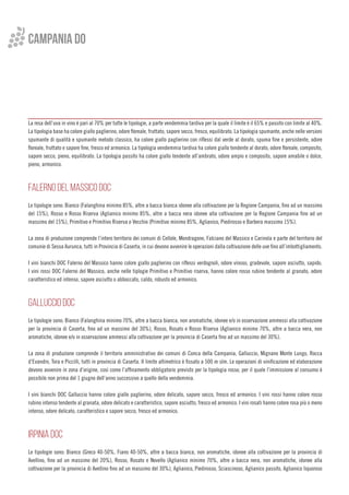 campania do
La resa dell’uva in vino è pari al 70% per tutte le tipologie, a parte vendemmia tardiva per la quale il limite è il 65% e passito con limite al 40%.
La tipologia base ha colore giallo paglierino, odore floreale, fruttato, sapore secco, fresco, equilibrato. La tipologia spumante, anche nelle versioni
spumante di qualità e spumante metodo classico, ha colore giallo paglierino con riflessi dal verde al dorato, spuma fine e persistente, odore
floreale, fruttato e sapore fine, fresco ed armonico. La tipologia vendemmia tardiva ha colore giallo tendente al dorato, odore floreale, composito,
sapore secco, pieno, equilibrato. La tipologia passito ha colore giallo tendente all’ambrato, odore ampio e composito, sapore amabile o dolce,
pieno, armonico.
FALERNO DEL MASSICO DOC
Le tipologie sono: Bianco (Falanghina minimo 85%, altre a bacca bianca idonee alla coltivazione per la Regione Campania, fino ad un massimo
del 15%), Rosso e Rosso Riserva (Aglianico minimo 85%, altre a bacca nera idonee alla coltivazione per la Regione Campania fino ad un
massimo del 15%), Primitivo e Primitivo Riserva o Vecchio (Primitivo minimo 85%, Aglianico, Piedirosso e Barbera massimo 15%).
La zona di produzione comprende l’intero territorio dei comuni di Cellole, Mondragone, Falciano del Massico e Carinola e parte del territorio del
comunie di Sessa Aurunca, tutti in Provincia di Caserta, in cui devono avvenire le operazioni dalla coltivazione delle uve fino all’imbottigliamento.
I vini bianchi DOC Falerno del Massico hanno colore giallo paglierino con riflessi verdognoli, odore vinoso, gradevole, sapore asciutto, sapido.
I vini rossi DOC Falerno del Massico, anche nelle tiplogie Primitivo e Primitivo riserva, hanno colore rosso rubino tendente al granato, odore
caratteristico ed intenso, sapore asciutto o abboccato, caldo, robusto ed armonico.
GALLUCCIO DOC
Le tipologie sono: Bianco (Falanghina minimo 70%, altre a bacca bianca, non aromatiche, idonee e/o in osservazione ammessi alla coltivazione
per la provincia di Caserta, fino ad un massimo del 30%), Rosso, Rosato e Rosso Riserva (Aglianico minimo 70%, altre a bacca nera, non
aromatiche, idonee e/o in osservazione ammessi alla coltivazione per la provincia di Caserta fino ad un massimo del 30%).
La zona di produzione comprende il territorio amministrativo dei comuni di Conca della Campania, Galluccio, Mignano Monte Lungo, Rocca
d’Evandro, Tora e Piccilli, tutti in provincia di Caserta. Il limite altimetrico è fissato a 500 m slm. Le operazioni di vinificazione ed elaborazione
devono avvenire in zona d’origine, così come l’affinamento obbligatorio previsto per la tipologia rosso, per il quale l’immissione al consumo è
possibile non prima del 1 giugno dell’anno successivo a quello della vendemmia.
I vini bianchi DOC Galluccio hanno colore giallo paglierino, odore delicato, sapore secco, fresco ed armonico. I vini rossi hanno colore rosso
rubino intenso tendente al granata, odore delicato e caratteristico, sapore asciutto, fresco ed armonico. I vini rosati hanno colore rosa più o meno
intenso, odore delicato, caratteristico e sapore secco, fresco ed armonico.
IRPINIA DOC
Le tipologie sono: Bianco (Greco 40-50%, Fiano 40-50%, altre a bacca bianca, non aromatiche, idonee alla coltivazione per la provincia di
Avellino, fino ad un massimo del 20%), Rosso, Rosato e Novello (Aglianico minimo 70%, altre a bacca nera, non aromatiche, idonee alla
coltivazione per la provincia di Avellino fino ad un massimo del 30%), Aglianico, Piedirosso, Sciascinoso, Aglianico passito, Aglianico liquoroso
 
