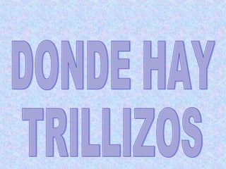 DONDE HAY  TRILLIZOS 