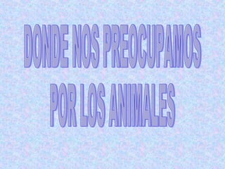 DONDE NOS PREOCUPAMOS POR LOS ANIMALES 