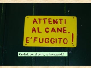 Cuidado con el perro, se ha escapado!  