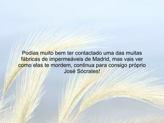 Podias muito bem ter contactado uma das muitas fábricas de impermeáveis de Madrid, mas vais ver como elas te mordem, continua para consigo próprio José Sócrates! 