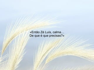 «Então Zé Luís, calma… De que é que precisas?» 