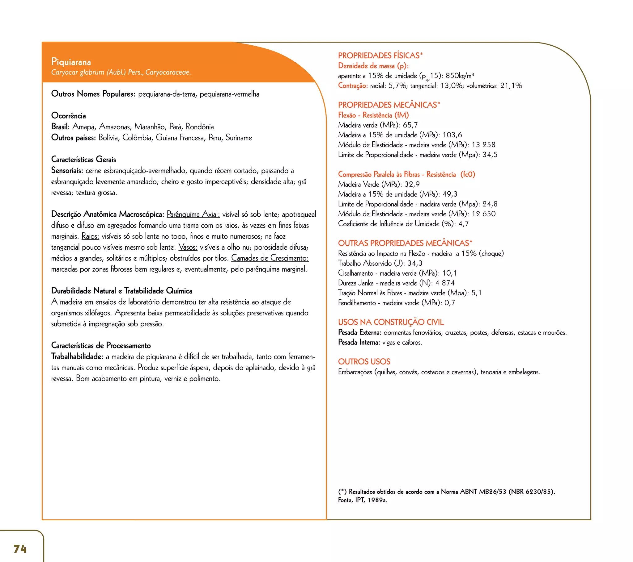 Madeira - Uso Sustentável na Construção Civil