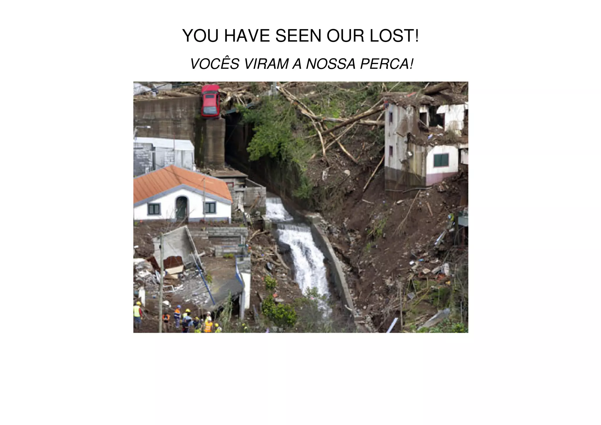 YOU HAVE SEEN OUR LOST!
VOCÊS VIRAM A NOSSA PERCA!