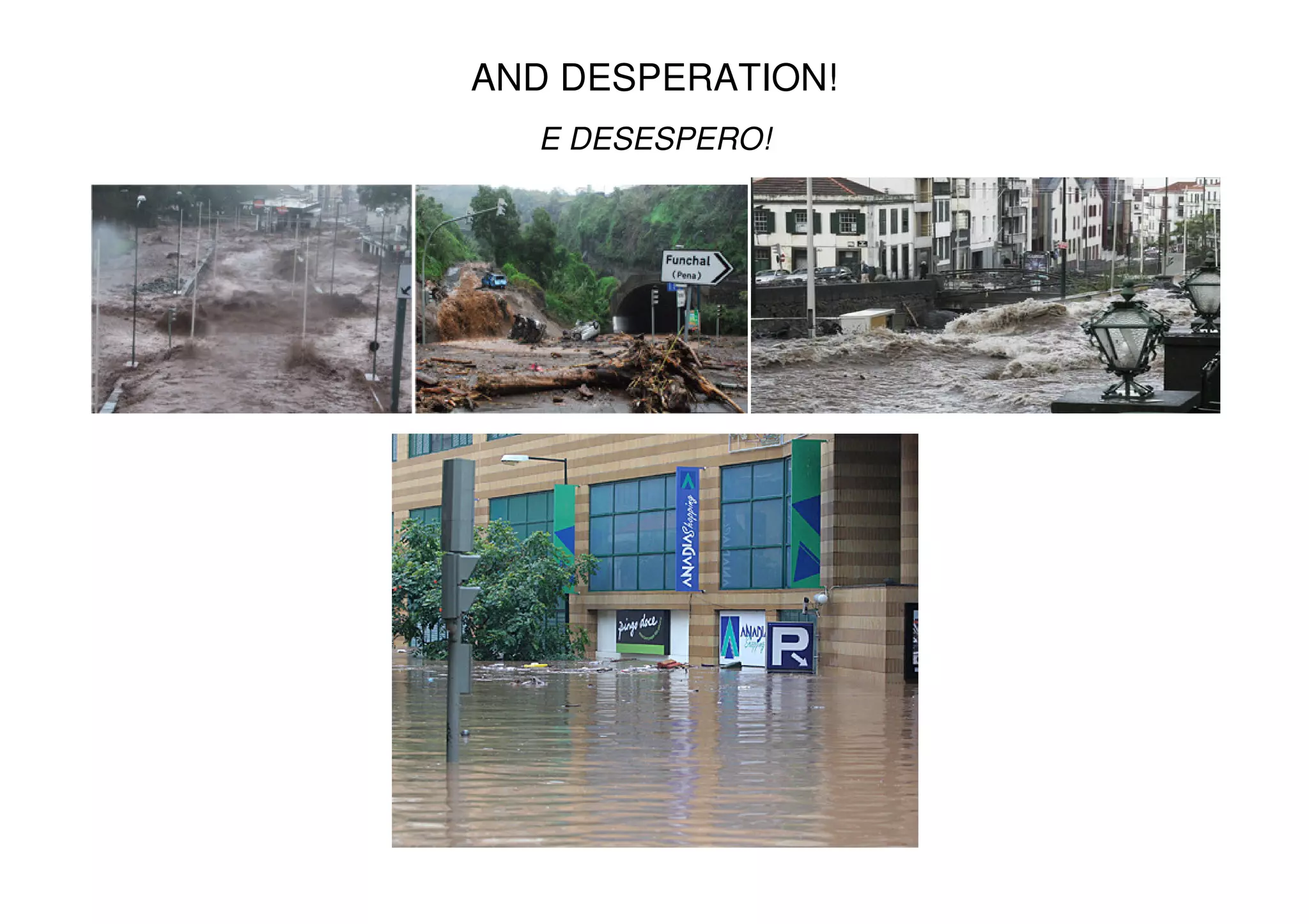 AND DESPERATION!
E DESESPERO!