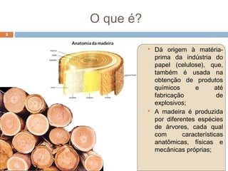O que é?
 Dá origem à matéria-
prima da indústria do
papel (celulose), que,
também é usada na
obtenção de produtos
químicos e até
fabricação de
explosivos;
 A madeira é produzida
por diferentes espécies
de árvores, cada qual
com características
anatômicas, físicas e
mecânicas próprias;
2
 