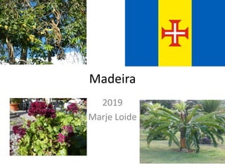 Madeira
2019
Marje Loide
 